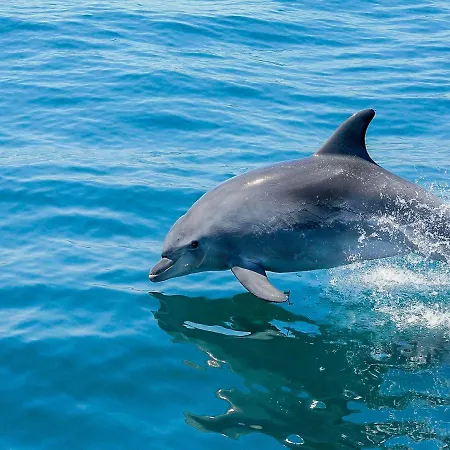 公寓 Luxury 3 Bedroom Apartment, 阿尔布费拉